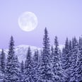 February's Snow Moon Is Encouraging You to Step Into Your Power