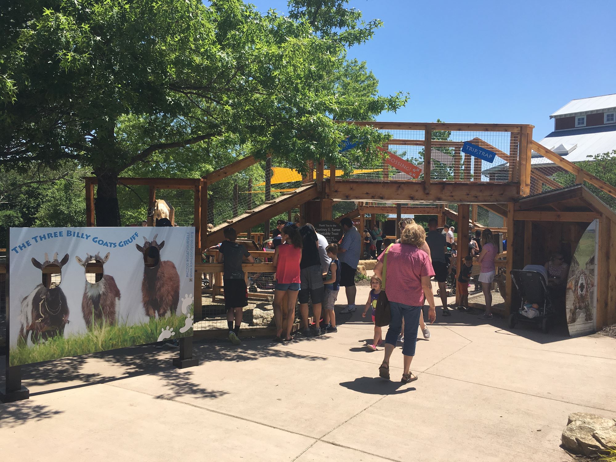 KC Goat Exhibit