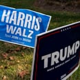 How a Harris Girlfriend and a Trump Boyfriend Handled the Aftermath of the Election