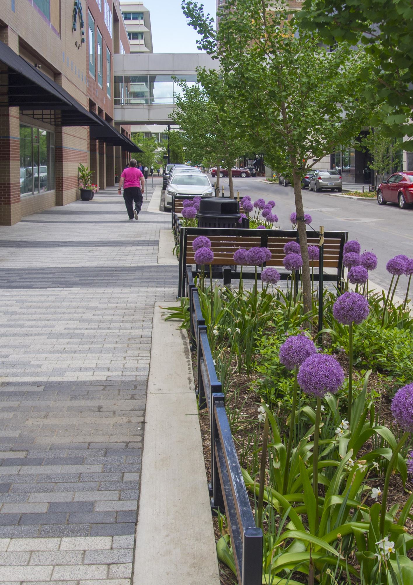 Walnut Street Corridor