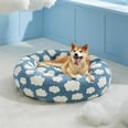 13 Amazon Dog Beds That Will Make Your Pup Feel Like Royalty