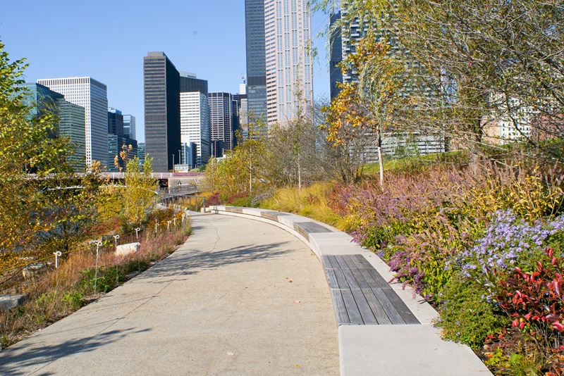 Rapid Development in Chicago's South Loop